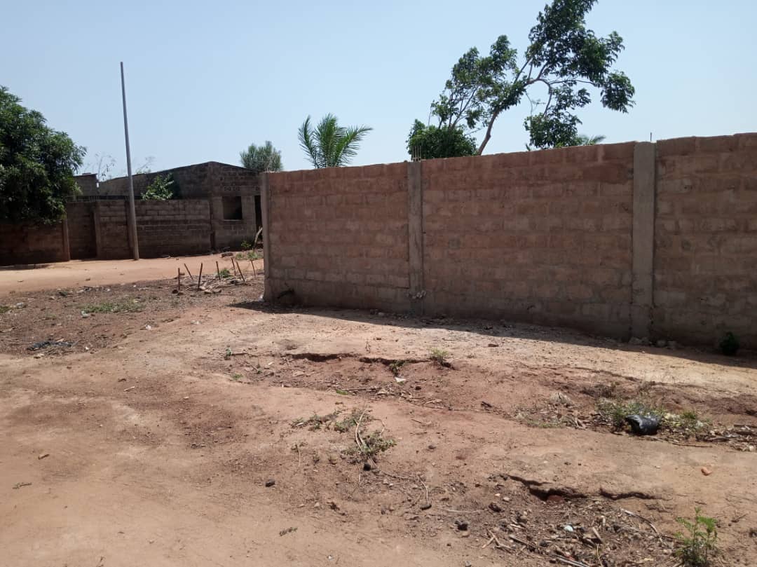 Image supplémentaire